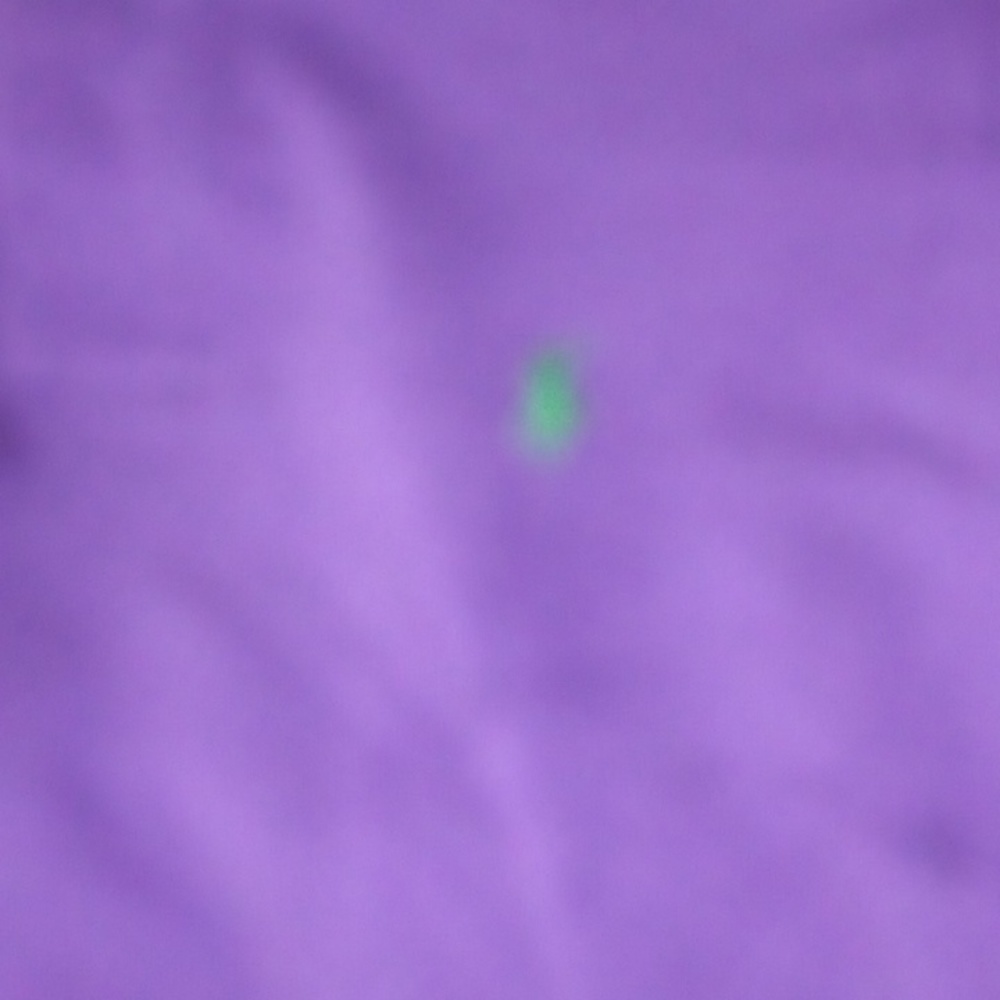 Polo - Picture 2 of 3